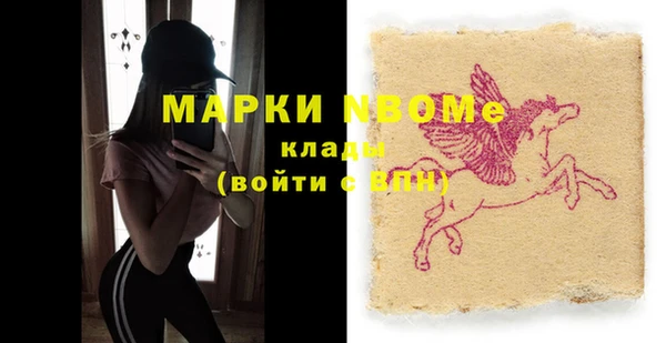 МДПВ Бородино