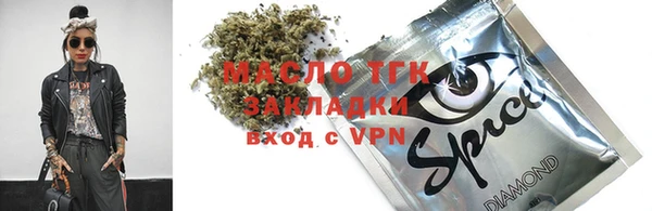МДПВ Бородино