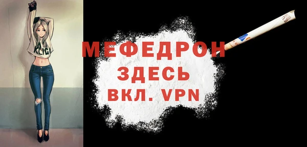 МДПВ Бородино