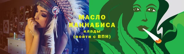 МДПВ Бородино
