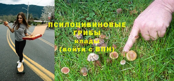 мескалин Бронницы