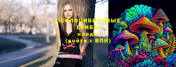 индика Верхний Тагил