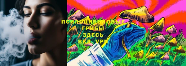 гашик Бугульма
