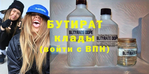 МДПВ Бородино