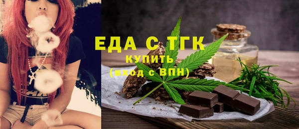 МДПВ Бородино
