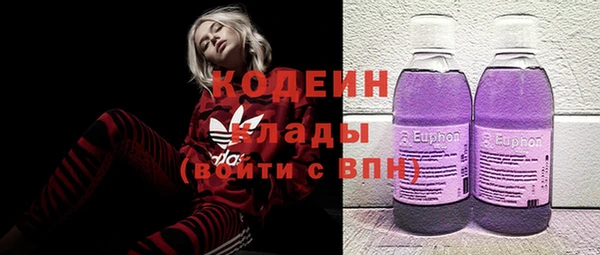 МДПВ Бородино