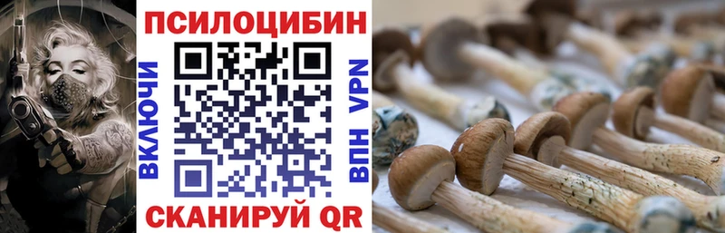 Галлюциногенные грибы Psilocybe  Купить  Куровское 